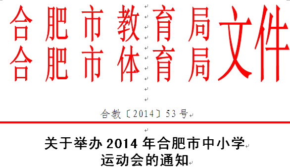 2014年合肥市中小学运动会