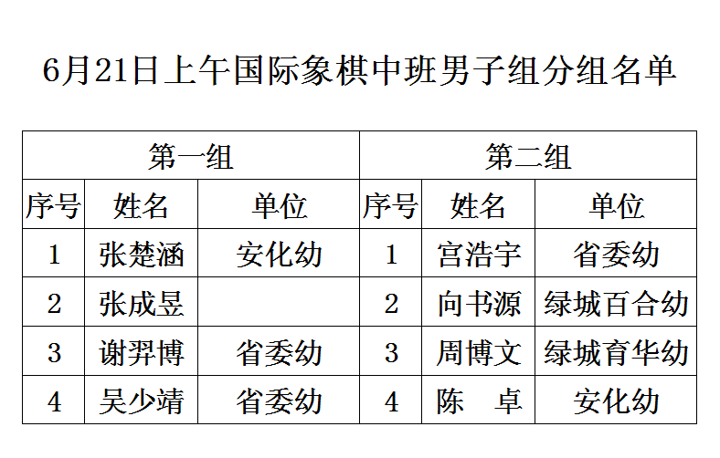 2014年合肥市少儿国际象棋比赛分组名单